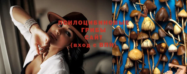PSILOCYBIN Кукмор