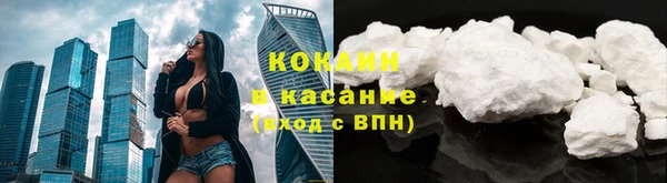 PSILOCYBIN Кукмор