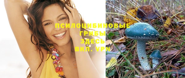PSILOCYBIN Кукмор