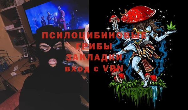 PSILOCYBIN Кукмор