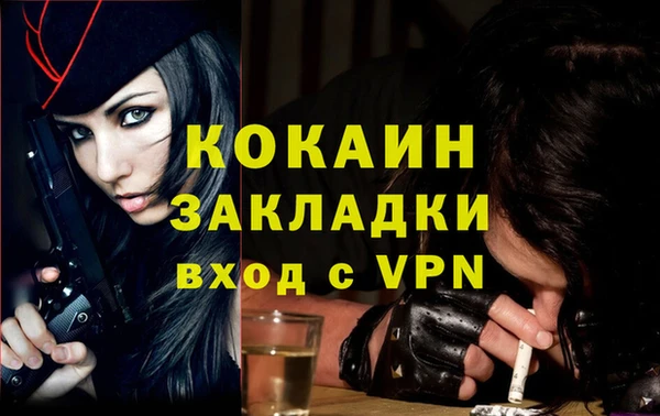 PSILOCYBIN Кукмор