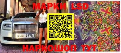 тгк Апшеронск