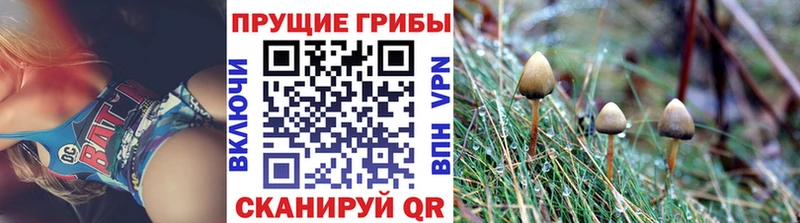 Псилоцибиновые грибы GOLDEN TEACHER  omg зеркало  Ханты-Мансийск 