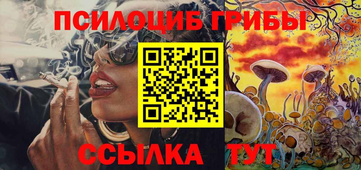 Псилоцибиновые грибы Psilocybine cubensis Ханты-Мансийск